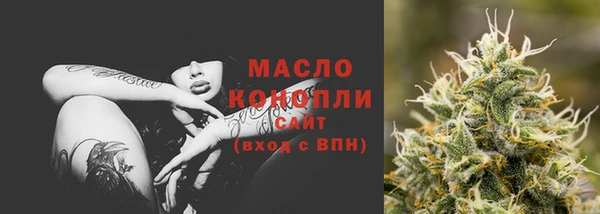 гашик Ветлуга