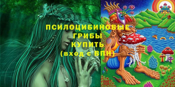 мяу мяу кристалл Богданович