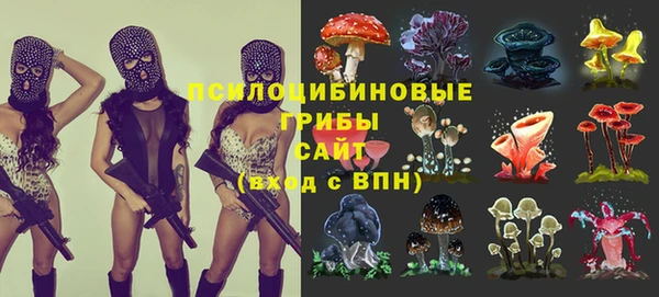 эйфоретик Богородицк