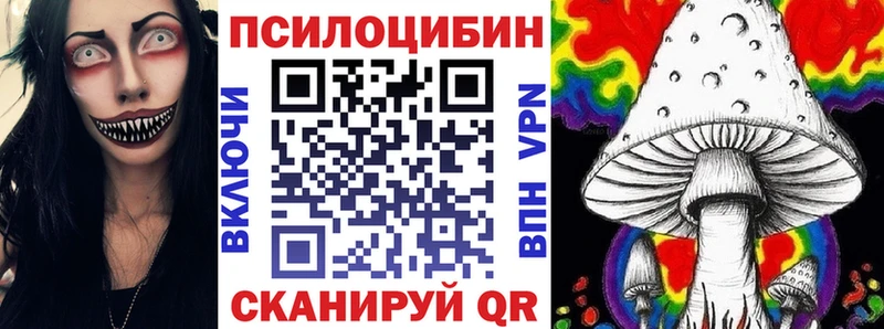 Галлюциногенные грибы Psilocybine cubensis  цена наркотик  Купино 