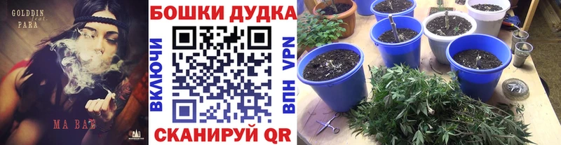 нарко площадка Telegram  Купино  Шишки марихуана LSD WEED 